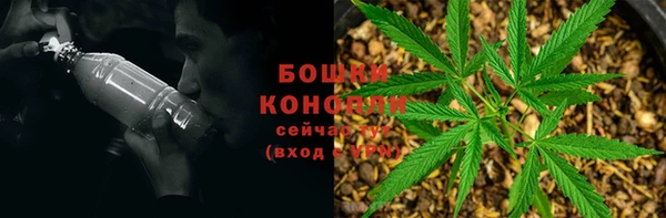 индика Аркадак