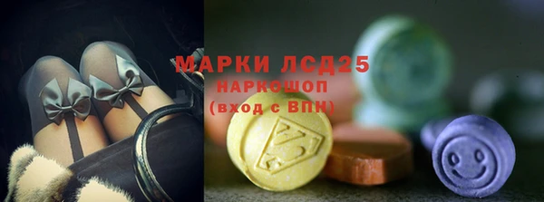 индика Аркадак