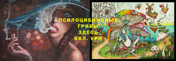 индика Аркадак