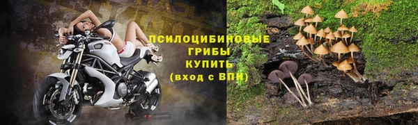 тгк Армянск