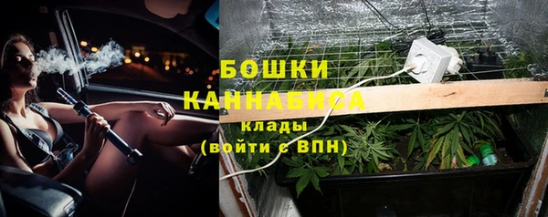 индика Аркадак