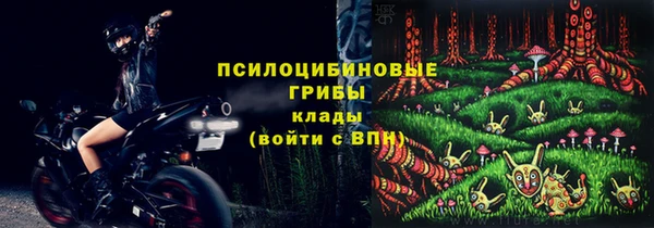 тгк Армянск