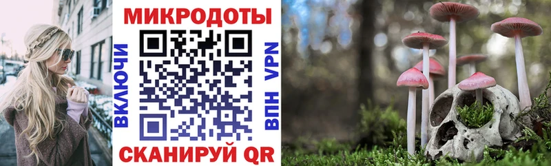 цена наркотик  гидра как зайти  Галлюциногенные грибы Psilocybine cubensis  Солнечногорск 