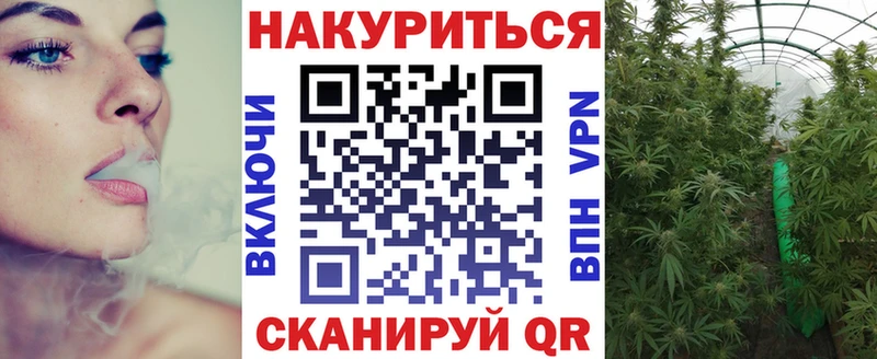 как найти   Солнечногорск  Каннабис VHQ 
